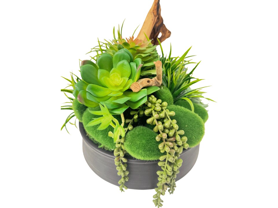 Prestige Table Plant