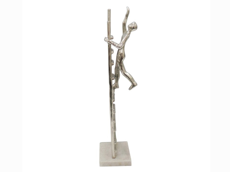 Climbing Ladder Sculpture