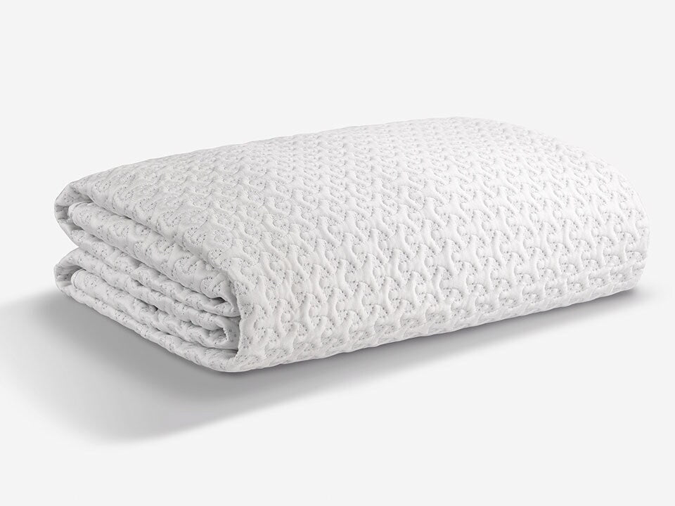 Ver-Tex Queen Mattress Protector