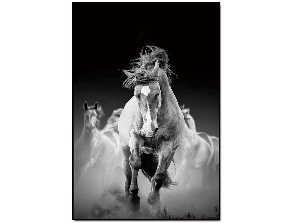 Wild Horse Acrylic Wall Art w/ Frame