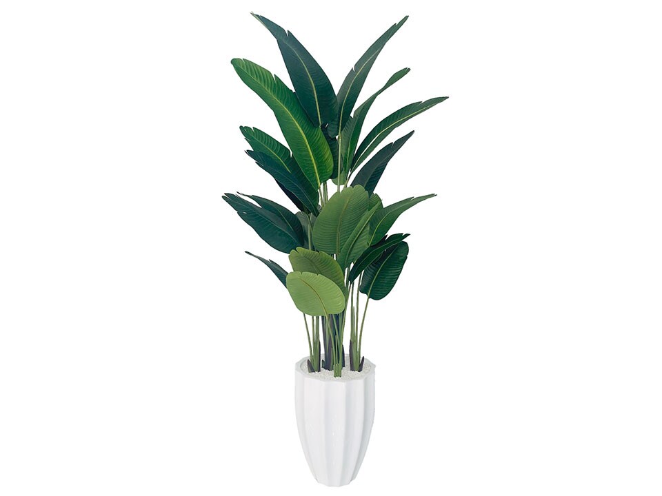 Marcella Leaf Birds of Paradise in White Alicante Vase