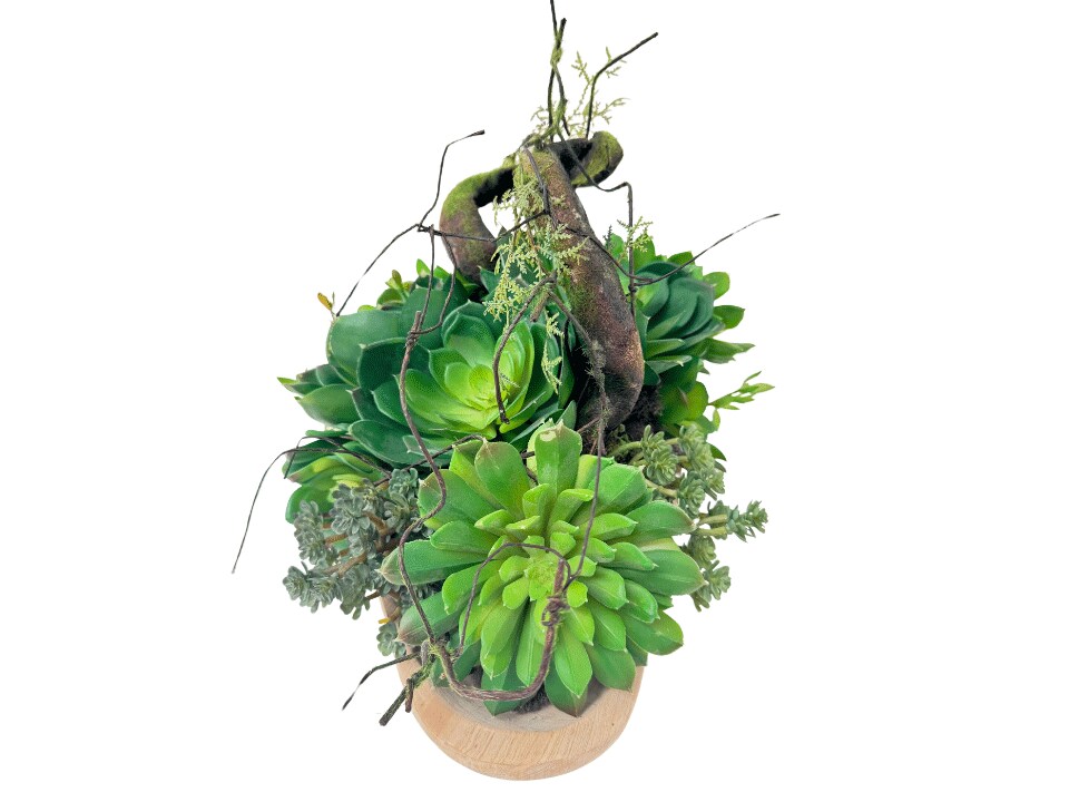 Etermity Table Plant