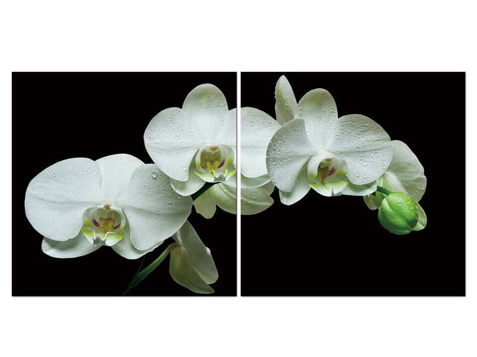 White Orchid Acrylic Wall Art