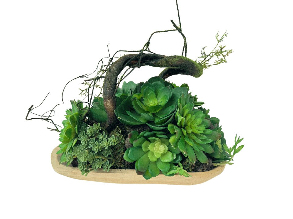 Etermity Table Plant