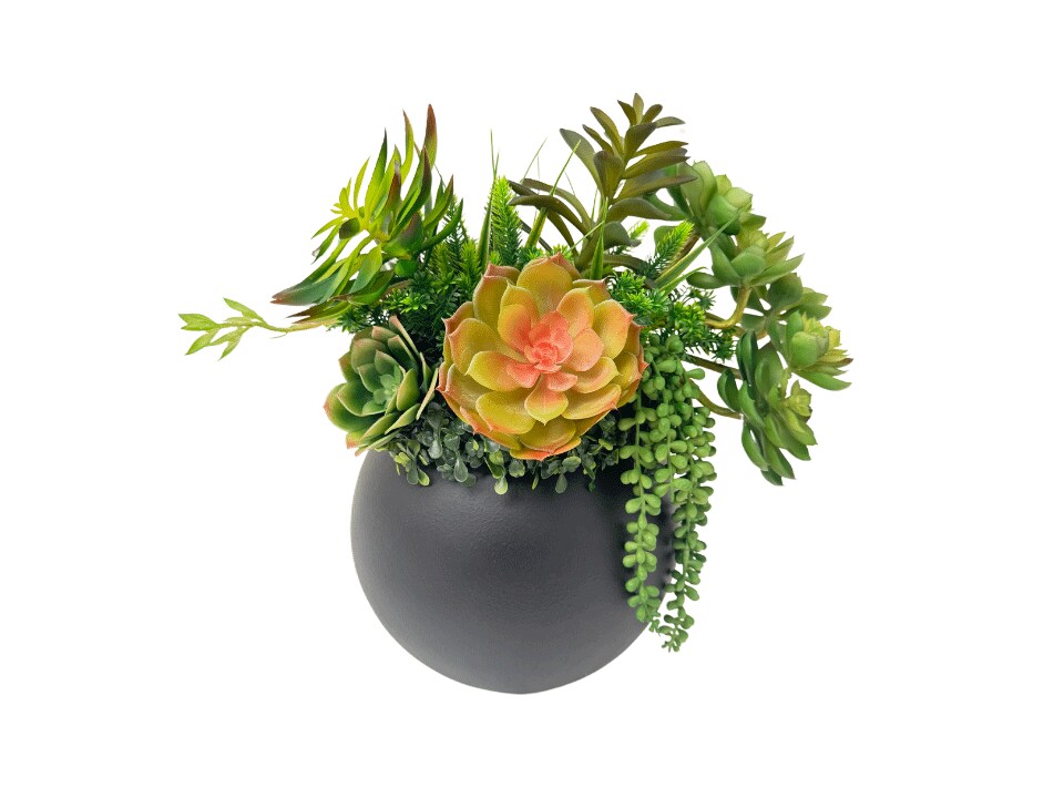 Serenity Table Plant
