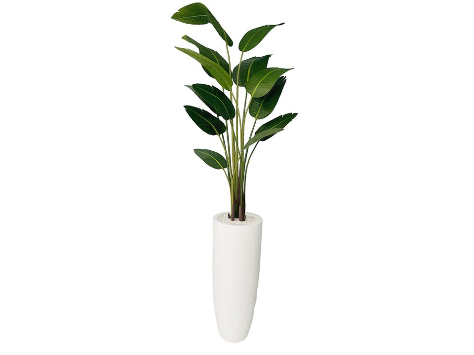 Romola Leaf Birds of Paradise in Round White Vase