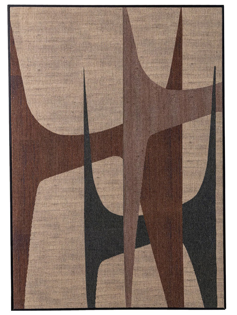 Amira Canvas