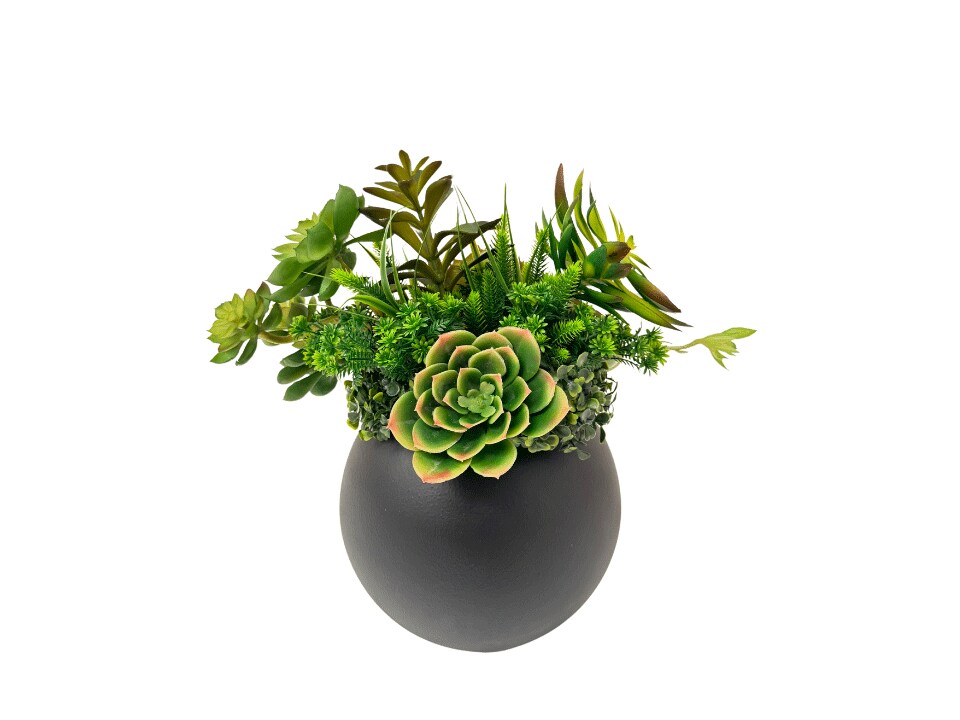 Serenity Table Plant