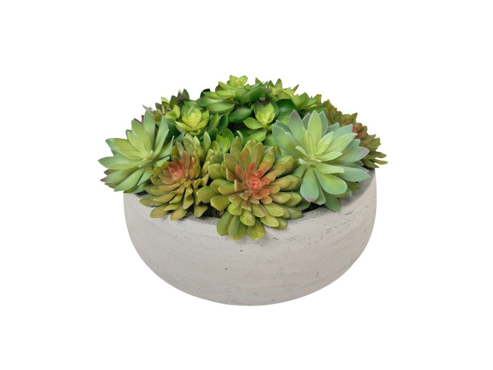 Authenticity Table Plant