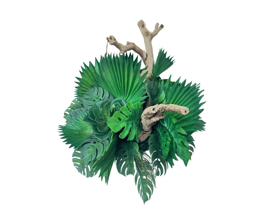 Charming Table Plant