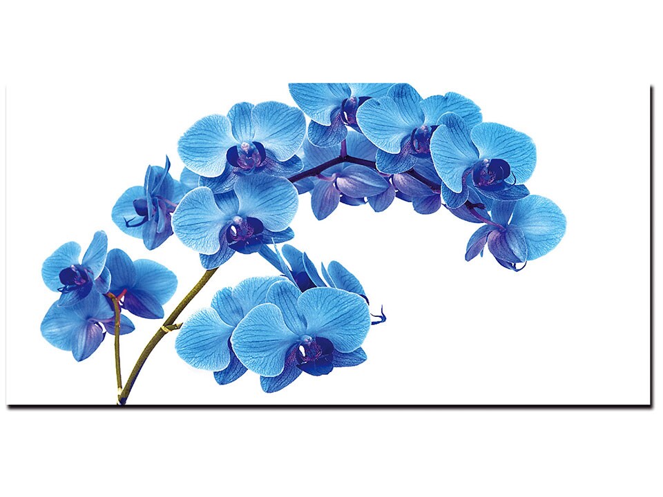 Shades of Blue Flowers Acrylic Wall Art