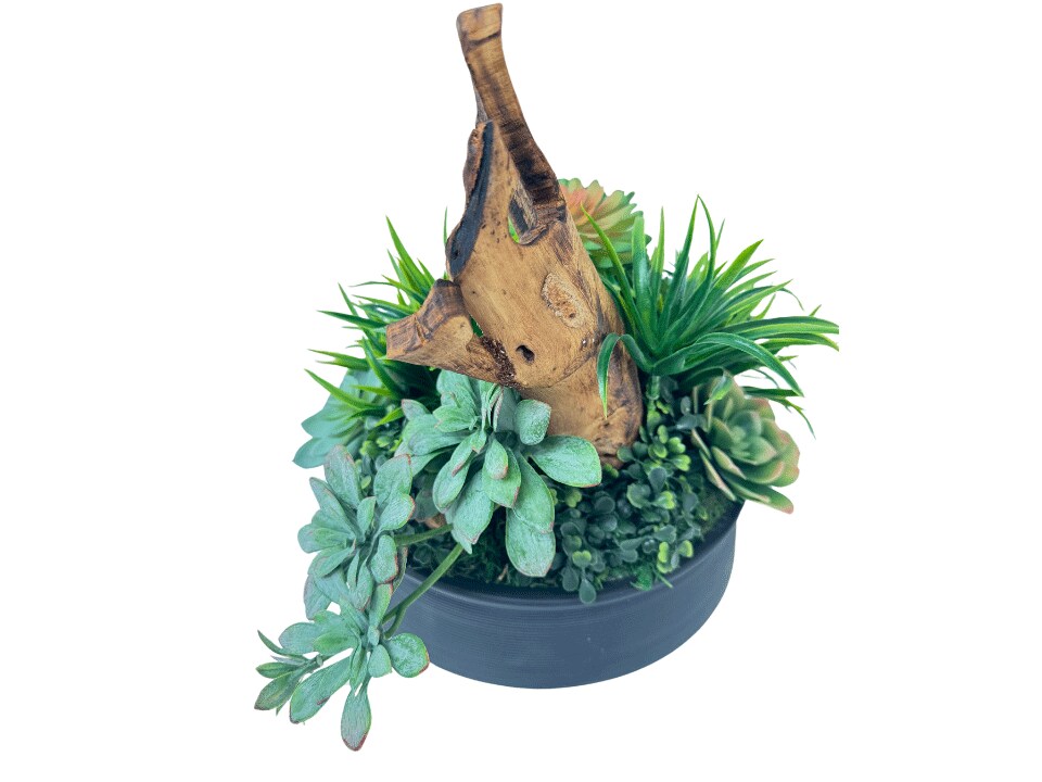 Prestige Table Plant