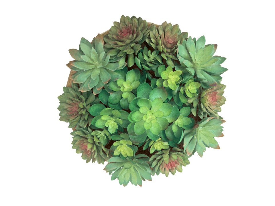 Authenticity Table Plant