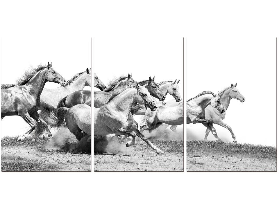 Roaming Horses Acrylic Wall Art