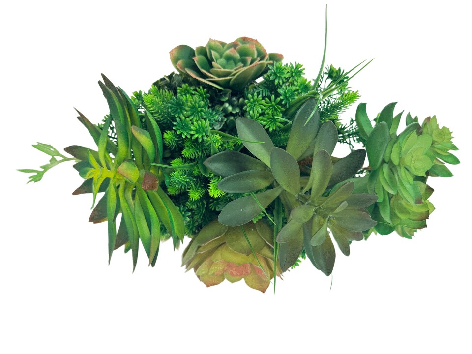 Serenity Table Plant