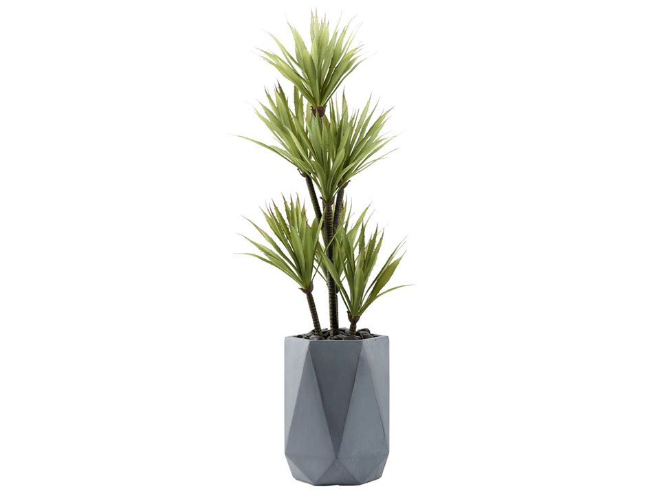 Yucca Tree in Grey Geometric Planter