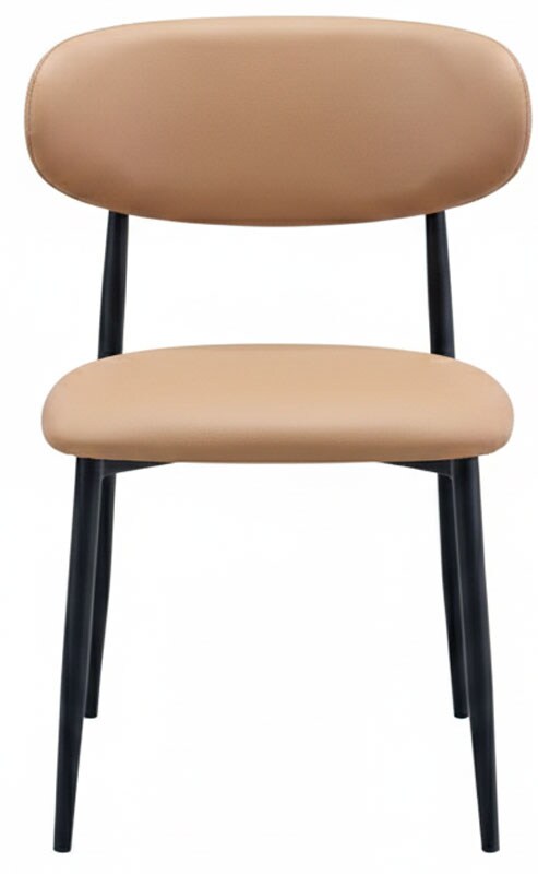 Lily Tan & Black Side Chair