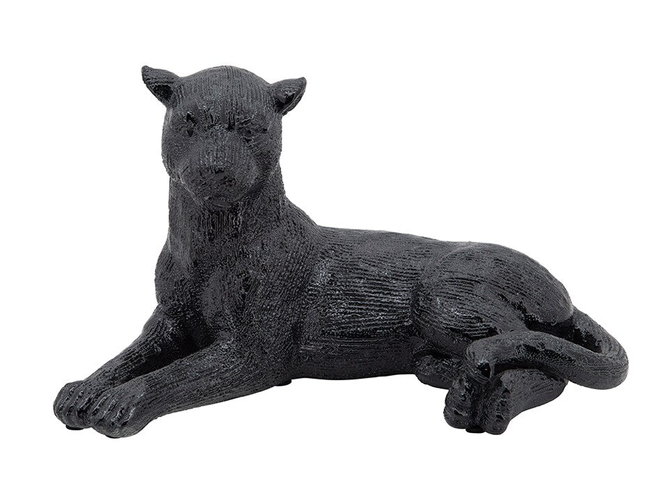 Black Laying Leopard
