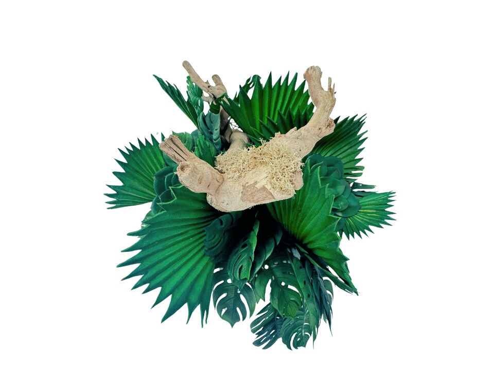 Charming Table Plant