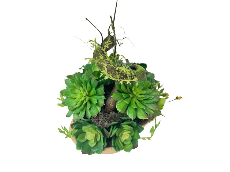 Etermity Table Plant