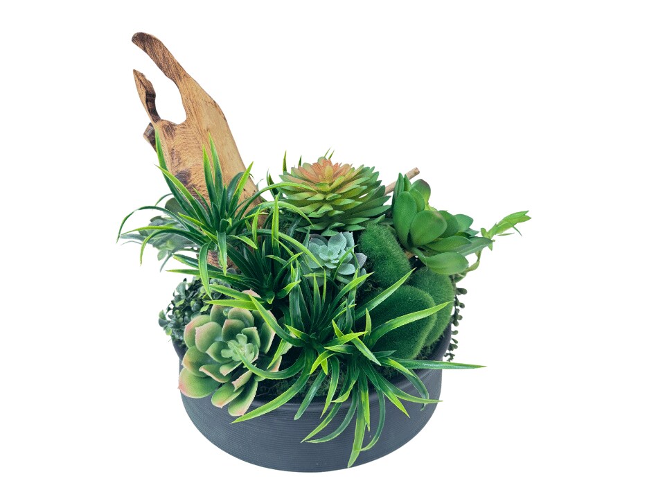 Prestige Table Plant