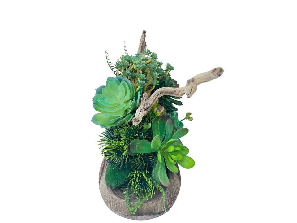 Glamorous Table Plant