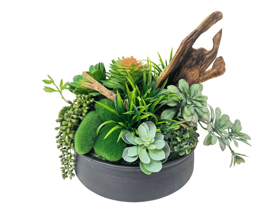 Prestige Table Plant