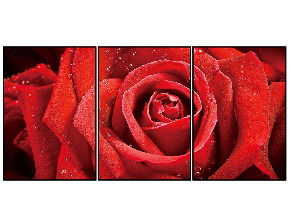 Red Rose Acrylic Wall Art w/ Frame