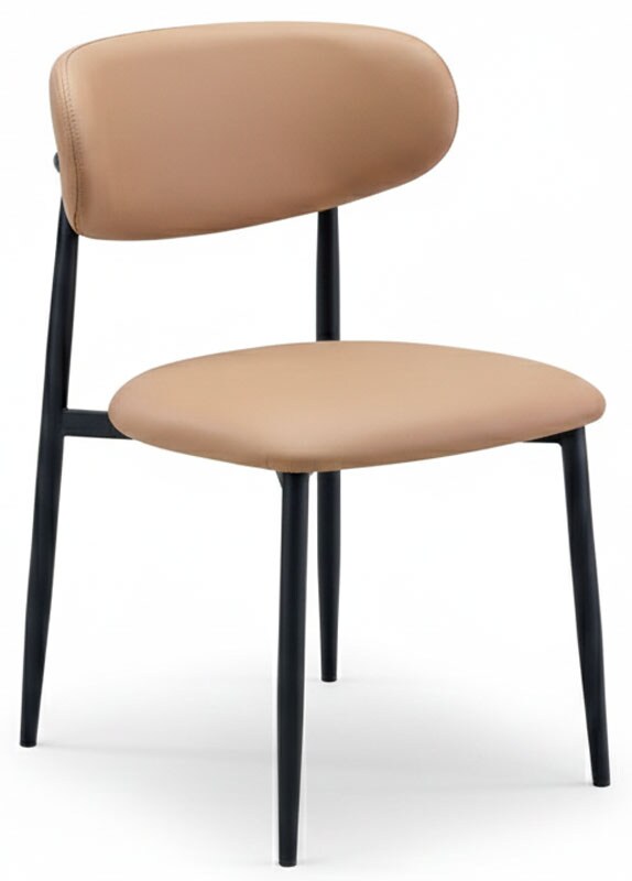 Lily Tan & Black Side Chair