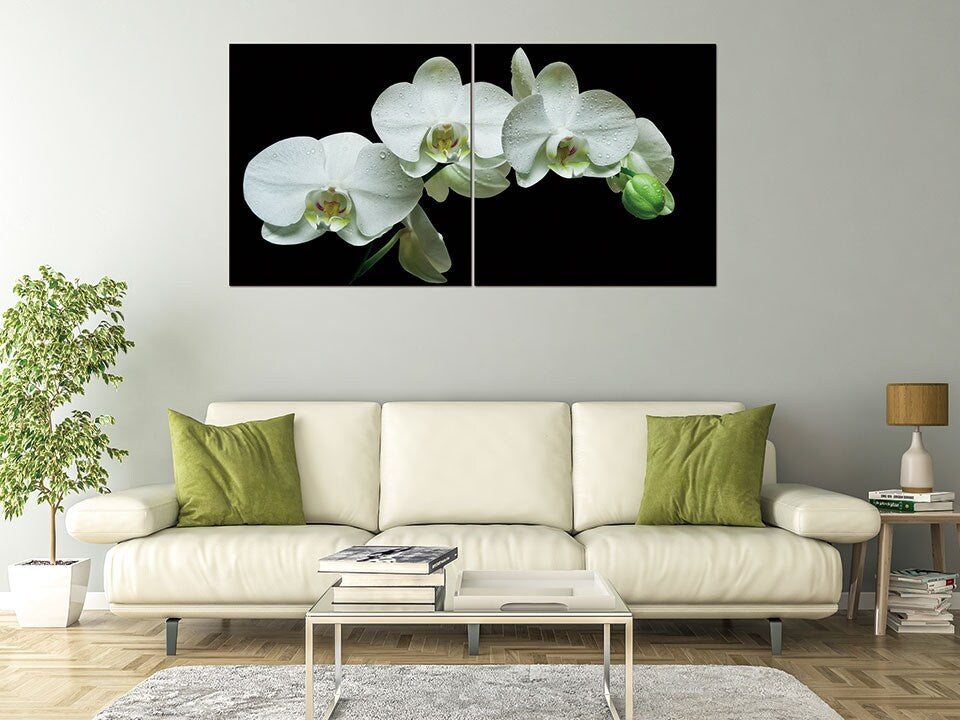 White Orchid Acrylic Wall Art