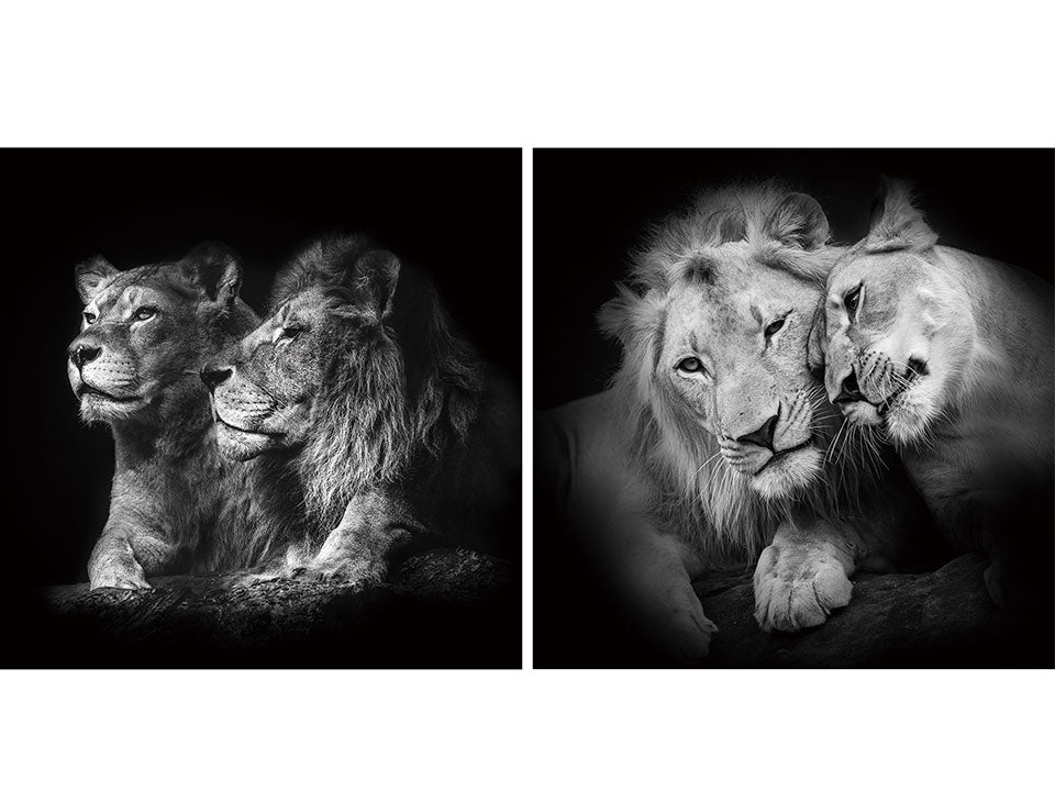 Stronger Together Acrylic Wall Art